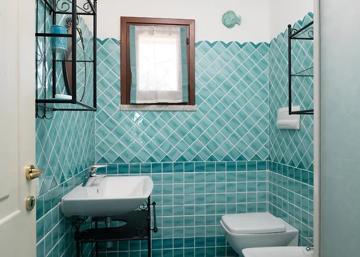 Myrsine 9d - Klodge *